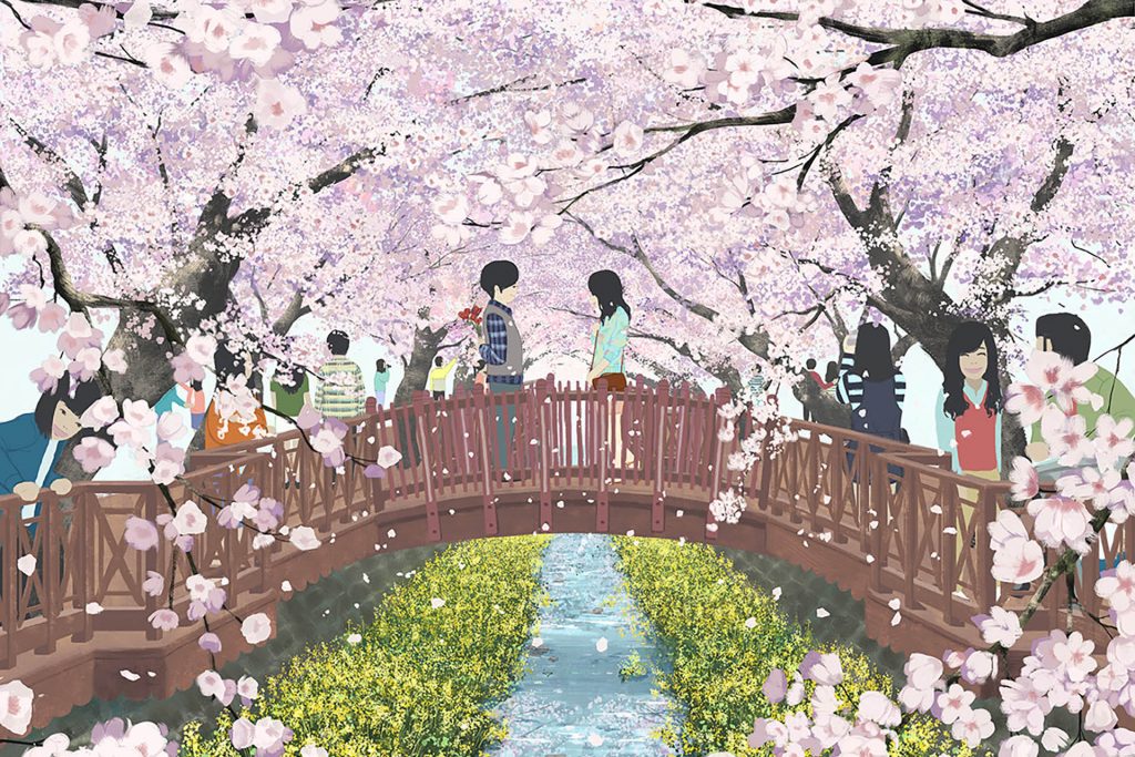 Jinhae Cherry Blossom Festival - Gunhangje 2018