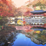 Korea-Fall-Season-Tour-NAEJANGSAN-tour
