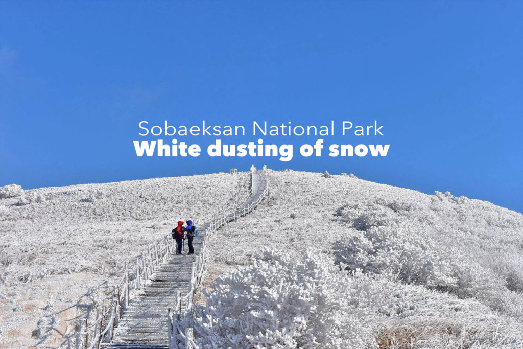 Sobaeksan National Park was covered with a white dusting of snow