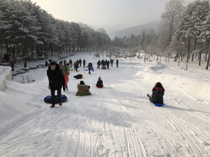 Nami Island Snowman Festival - Reasons why you should visit Nami Island in Winter time