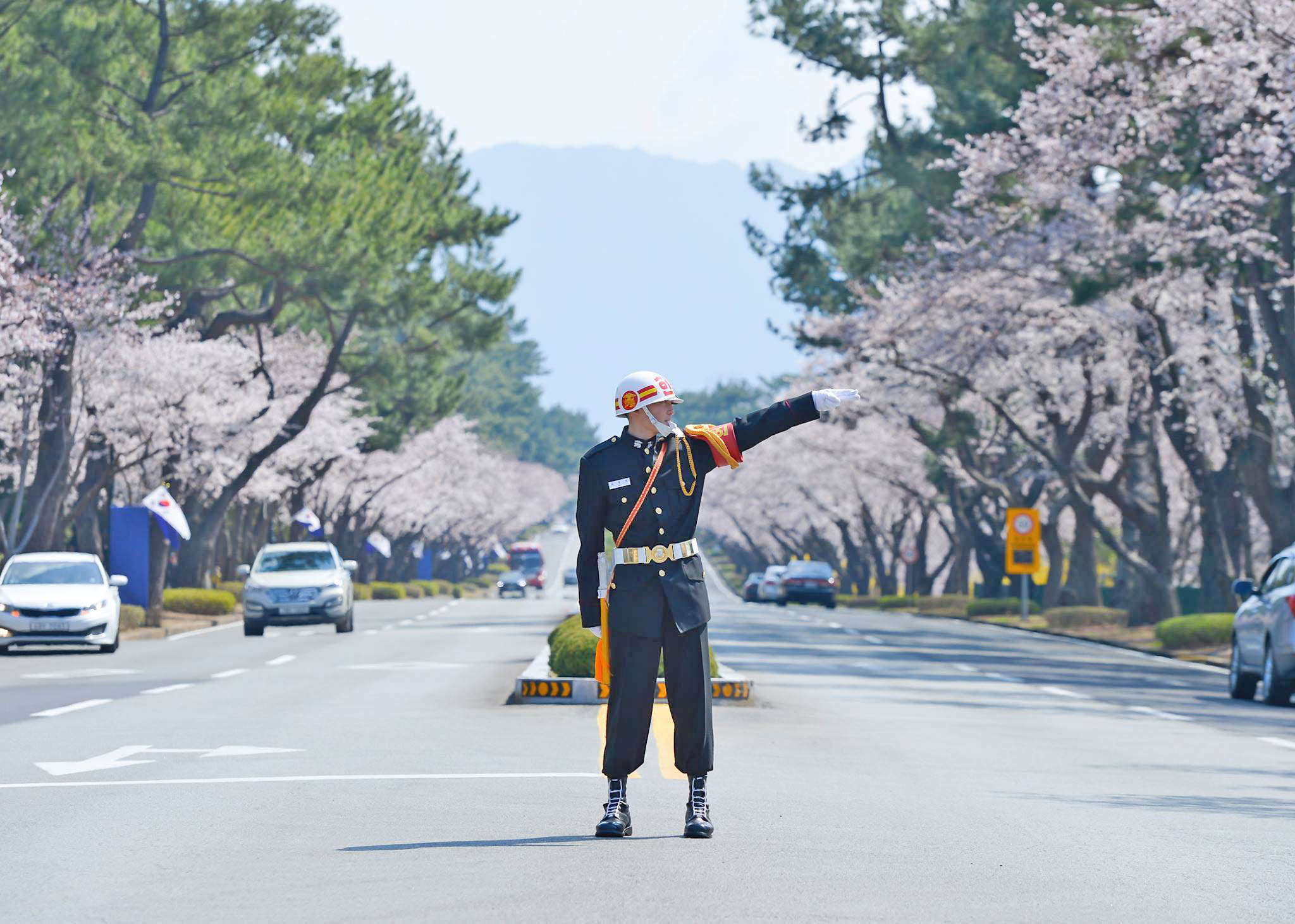 Jinhae Cherry Blossom Festival + Naval academy