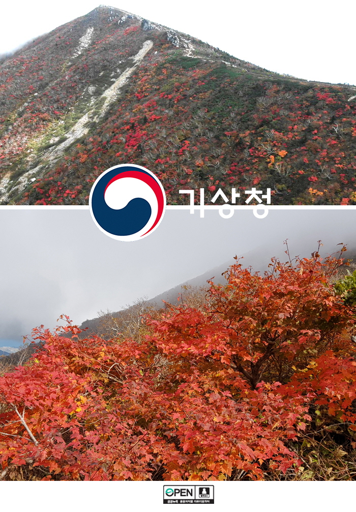 Korea's first autumn foliage has started