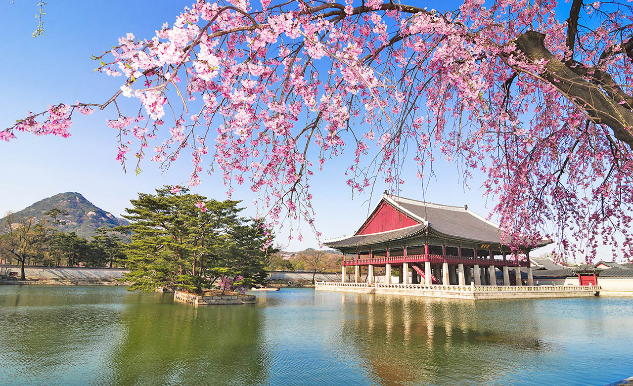 Korea Spring Travel Week to feature unique tours and discounts