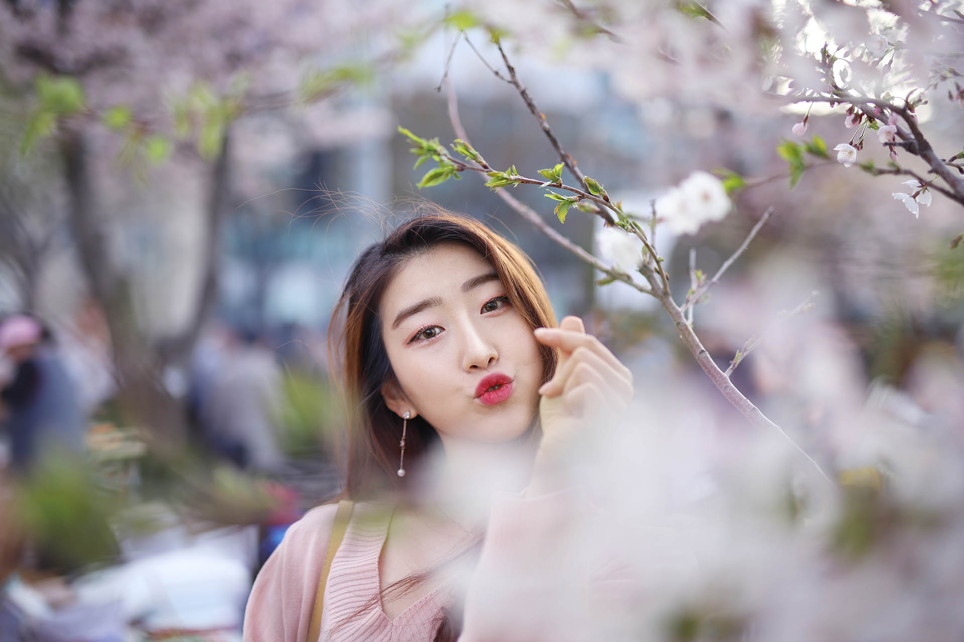 2018 Jeju Hueree Apricot Flower Festival
