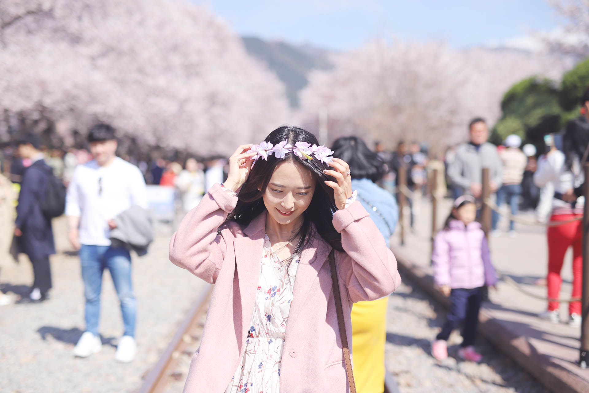 Cherry blossom season begins on Jeju Island