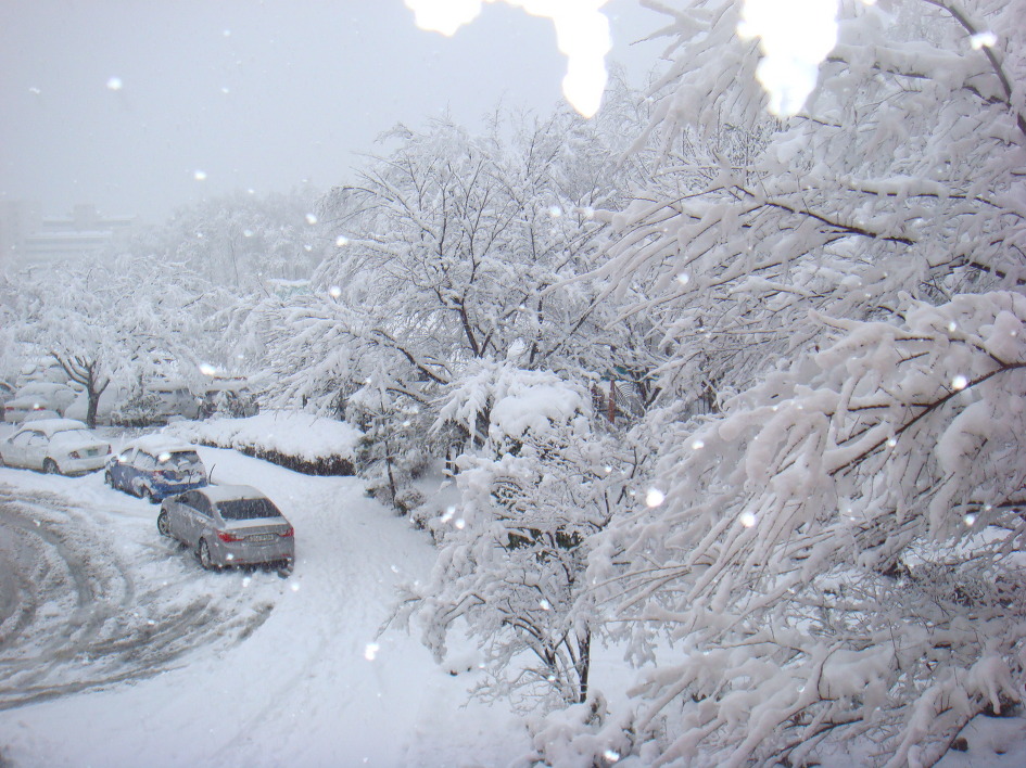 South Korea, heavy snowfall in April!
