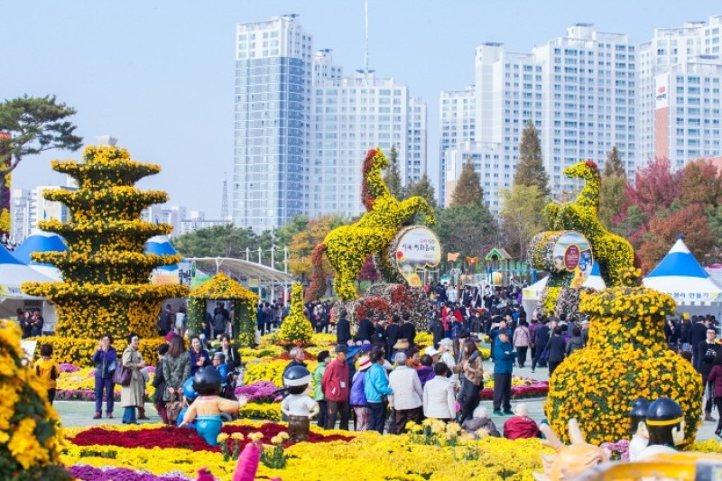 10 Million Chrysanthemum Flower Festival in Iksan City, Korea