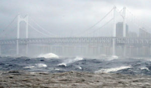 Typhoon Haishen lashes coast of Busan, disrupting flights, train services